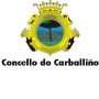 Iniciado oficialmente o procedemento para adaptar os símbolos do concello á normativa de heráldica de Galicia